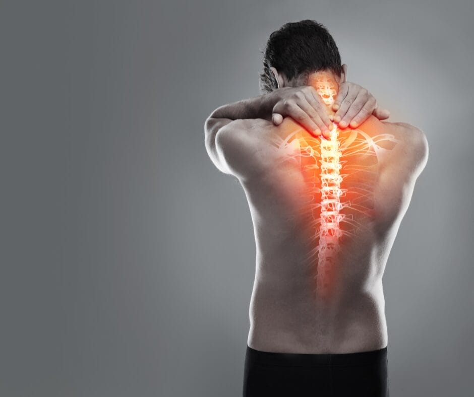 WHAT CAUSES STRESS RESPONSE 1 6