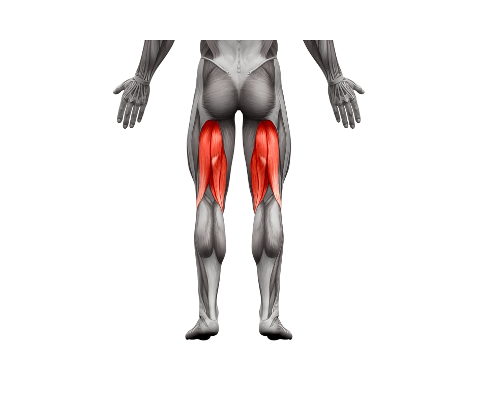 WHAT CAUSES STRESS RESPONSE